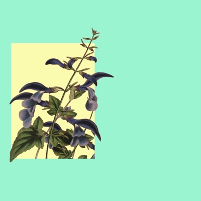 Fall Back - Single