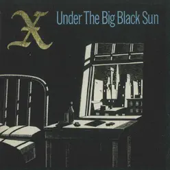 Under the Big Black Sun - X