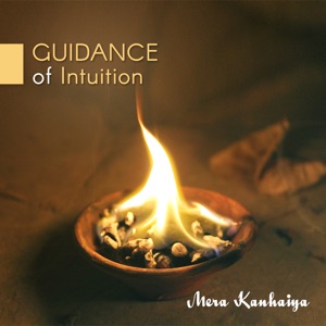 Guidance of Intuition