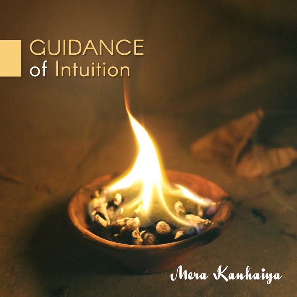 Guidance of Intuition