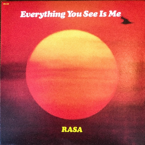 Everything You See Is Me - Rasa