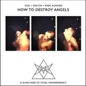 How to Destroy Angels artwork