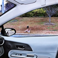 Bad Days/Good News - Single - Overwhelm_ed