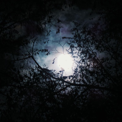Hiss - Single