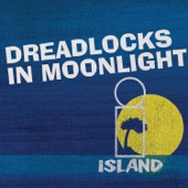 Dreadlocks In Moonlight artwork
