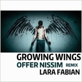 Growing Wings (Offer Nissim Remix) artwork