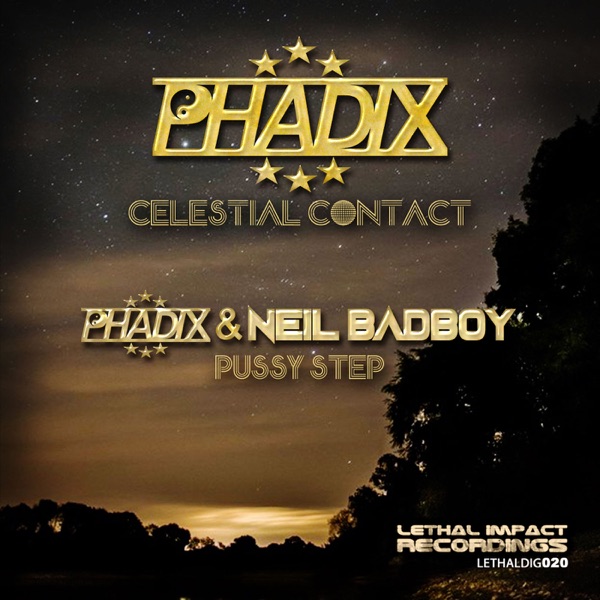 Celestial Contact - Single