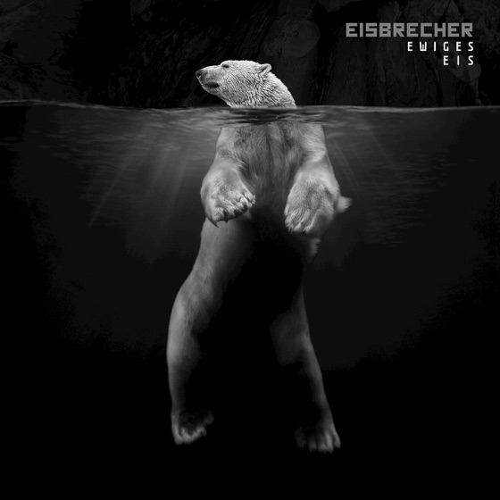 Cover artwork for Leider