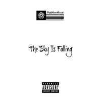 The Sky Is Falling - Single - FlightGawdLuxxi