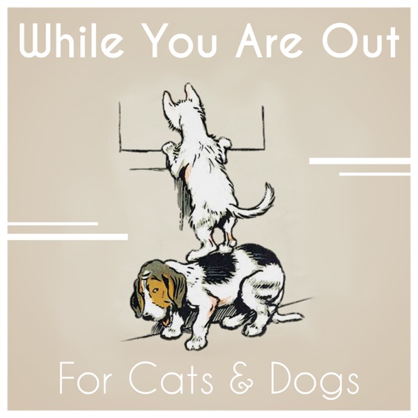 While You Are Out: For Cats & Dogs
