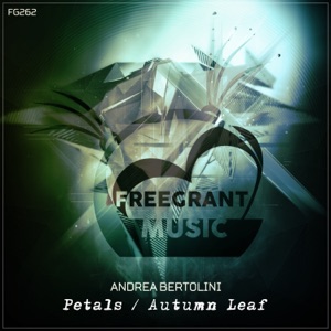 Petals / Autumn Leaf - Single