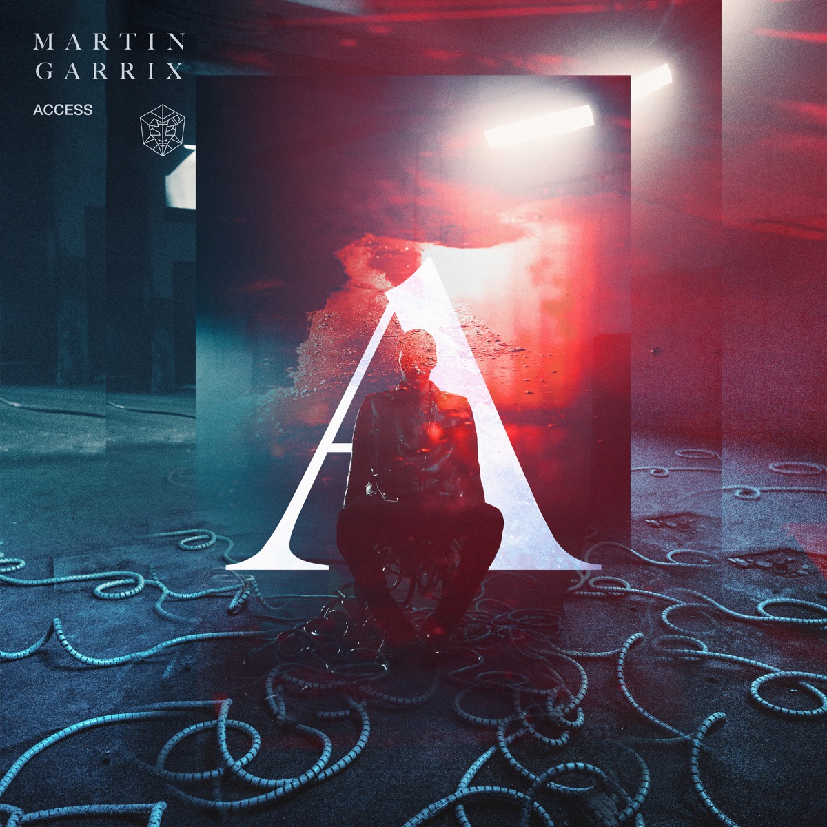 Access - Single by Martin Garrix on Apple Music