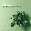 Not Nineteen Forever artwork