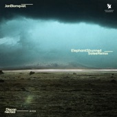 Elephant Shunned (Solee Extended Remix) artwork