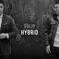 Hybrid - Seouljyu