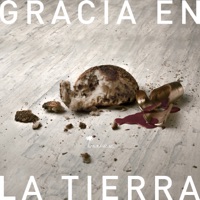 Gracia en la tierra - Single - caminodevida música