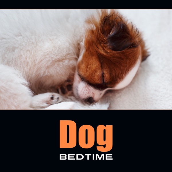 Dog Bedtime – Lullaby for Your Pet, Pure Sleeping & Tranquility Sound for Dogy Ear