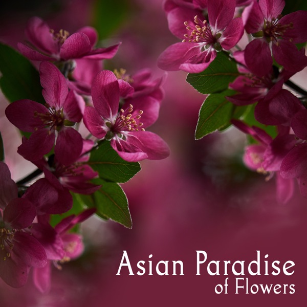 Asian Paradise of Flowers: Spiritual Path to China, Ethno Lounge Journey to Japan