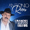 Antonio Ríos Grandes y Nuevos Éxitos, 2017