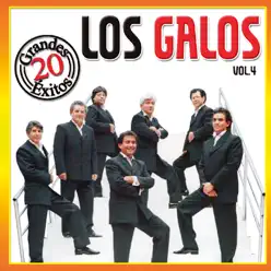 Grandes Éxitos (Vol. 4) - Los Galos