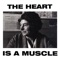 The Heart Is a Muscle - Single