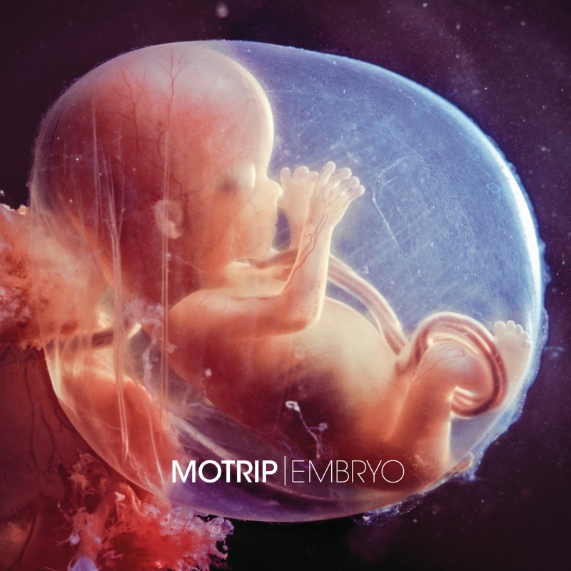 Embryo (Bonus Version)