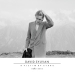 David Sylvian & Ryuichi Sakamoto - Forbidden Colours