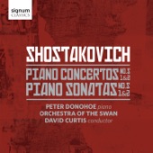 Piano Concerto No. 2 in F Major, Op. 102: II. Andante artwork