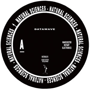 Datawave - Single