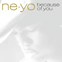 Because Of You (Sunfreakz Dub) - Single - Ne-Yo