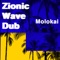 Molokai - Zionic Wave Dub lyrics