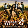 Weeds (Music from the Original TV Series), Vol. 2 artwork