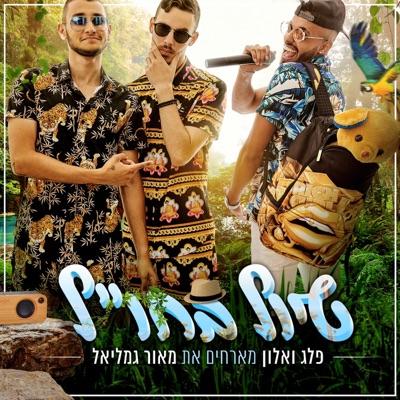טיול בחו"ל - Single