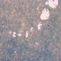 Drip - Single - Submerse & Fitz Ambro$e