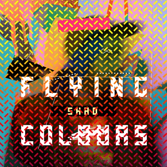 Cover artwork for Fam Jam (Fe Sum Immigrins)