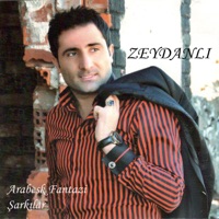 Zeydanlı - Ben Olaydım