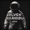 Mars - Blvck Karibou lyrics