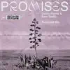 Stream & download Promises (Extended Mix) - Single