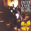 Enter The Wu-Tang (36 Chambers) artwork