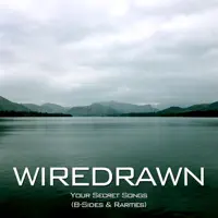 Christmas Wish No. 3571 — Wiredrawn