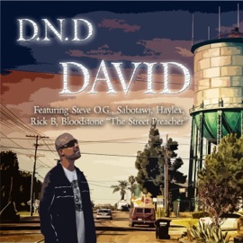 Anxiety (feat. Haylex) D.N.D