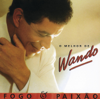 Wando - Fogo e Paixão  arte