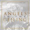 Angels in the Ceiling (feat. Fat Joe) artwork