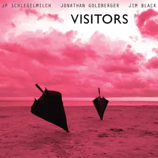 Album herunterladen JP Schlegelmilch, Jonathan Goldberger, Jim Black - Visitors