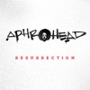 Aphrohead - 1King 1Queen