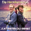 Am besten Du gehst - Single