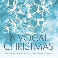 A Vocal Christmas - Diverse Artister