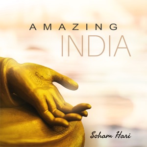 Amazing India