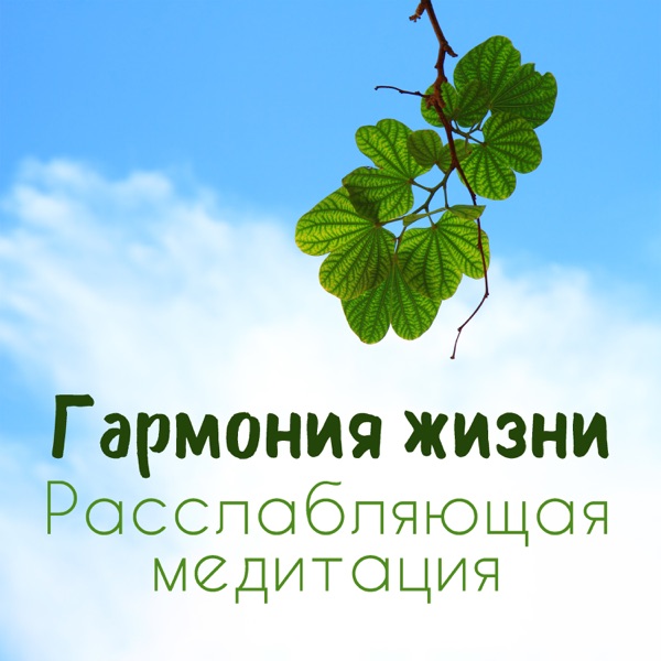 Гармония жизни - Расслабляющая медитация, Контроль дыхания, Снятия стресса, Спокойствия, Счастье и удовольствие