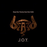 J.O.Y. (feat. Dave Gutter, Thommy Kane & Shane Reis) - Single - Beards